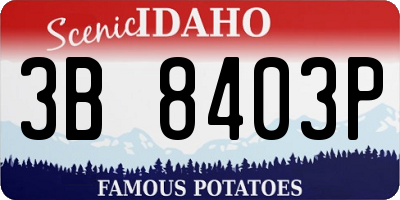 ID license plate 3B8403P