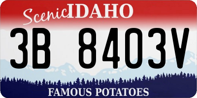 ID license plate 3B8403V