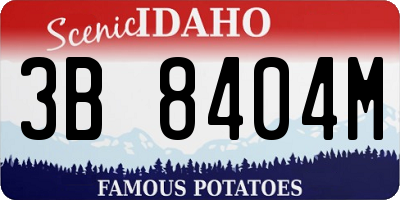 ID license plate 3B8404M