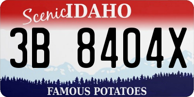 ID license plate 3B8404X