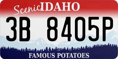 ID license plate 3B8405P