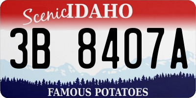 ID license plate 3B8407A