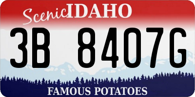 ID license plate 3B8407G