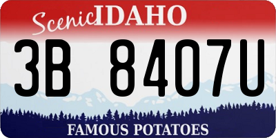 ID license plate 3B8407U