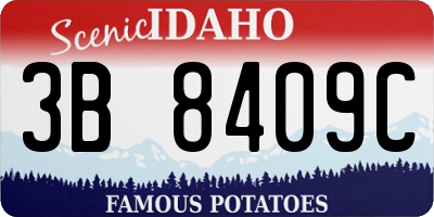 ID license plate 3B8409C