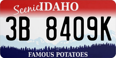 ID license plate 3B8409K
