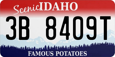 ID license plate 3B8409T