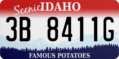 ID license plate 3B8411G