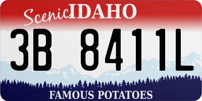 ID license plate 3B8411L