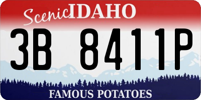 ID license plate 3B8411P