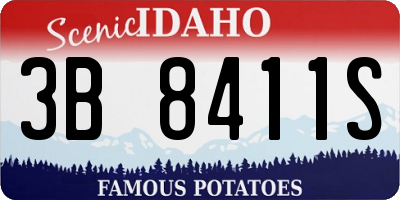 ID license plate 3B8411S