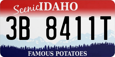 ID license plate 3B8411T
