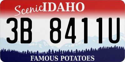 ID license plate 3B8411U