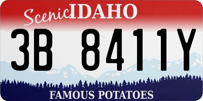 ID license plate 3B8411Y