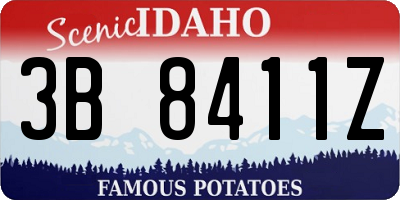 ID license plate 3B8411Z