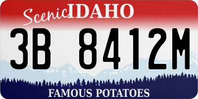 ID license plate 3B8412M