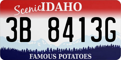 ID license plate 3B8413G