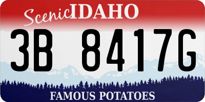 ID license plate 3B8417G