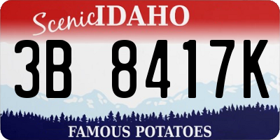 ID license plate 3B8417K