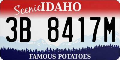 ID license plate 3B8417M