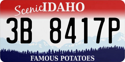 ID license plate 3B8417P