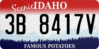 ID license plate 3B8417V
