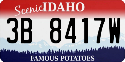 ID license plate 3B8417W