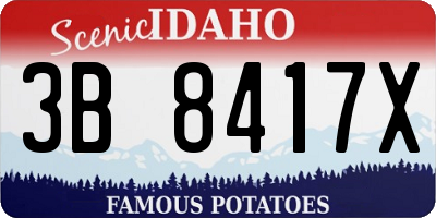 ID license plate 3B8417X