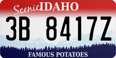 ID license plate 3B8417Z