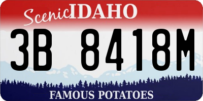ID license plate 3B8418M