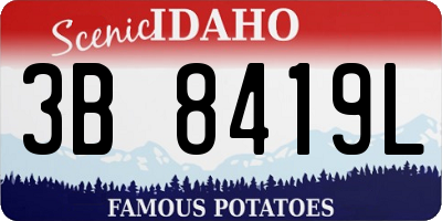 ID license plate 3B8419L