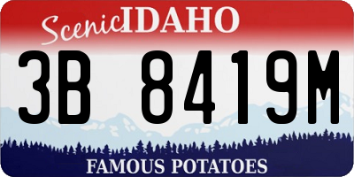 ID license plate 3B8419M