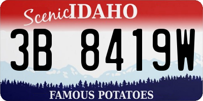 ID license plate 3B8419W