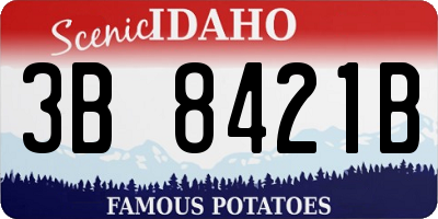 ID license plate 3B8421B