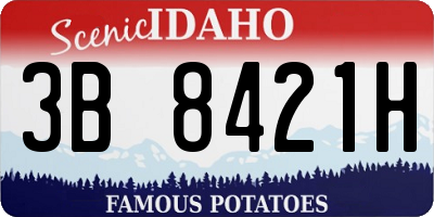 ID license plate 3B8421H