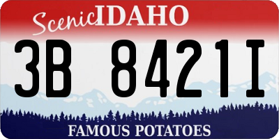 ID license plate 3B8421I