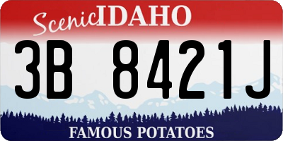 ID license plate 3B8421J