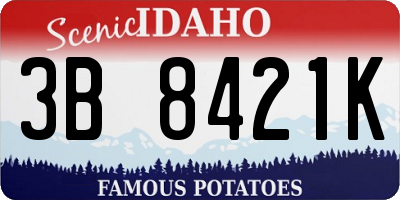 ID license plate 3B8421K