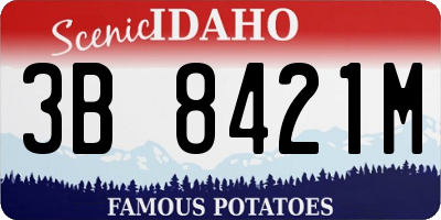 ID license plate 3B8421M