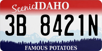 ID license plate 3B8421N