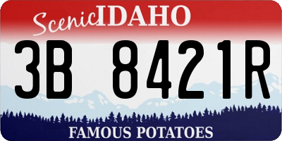 ID license plate 3B8421R