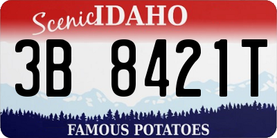 ID license plate 3B8421T