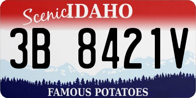 ID license plate 3B8421V