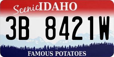 ID license plate 3B8421W