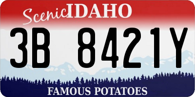 ID license plate 3B8421Y