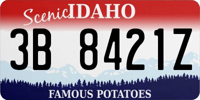 ID license plate 3B8421Z