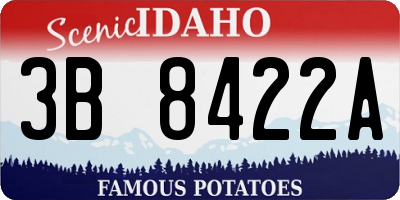 ID license plate 3B8422A