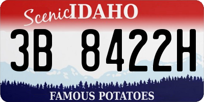 ID license plate 3B8422H