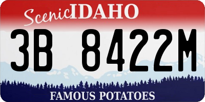 ID license plate 3B8422M