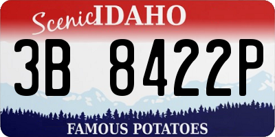 ID license plate 3B8422P